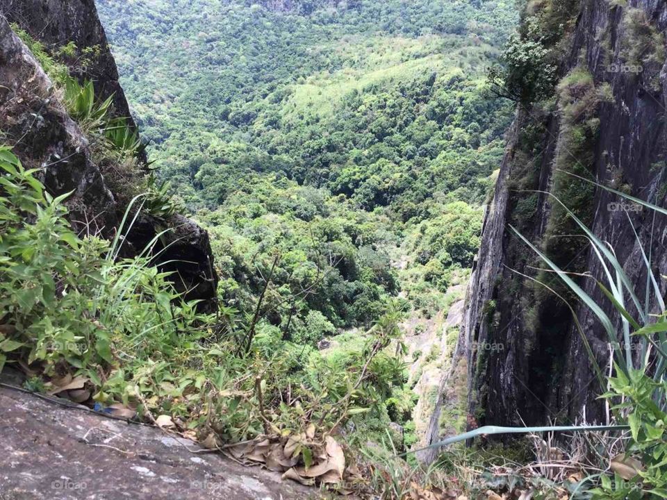 Nature create beauty