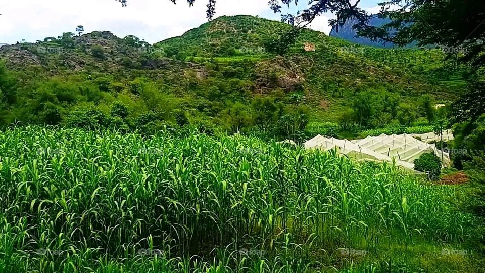 Glory be to God, the magnificent and picturesque view and the natural green trees are a view that is nothing more wonderful than it