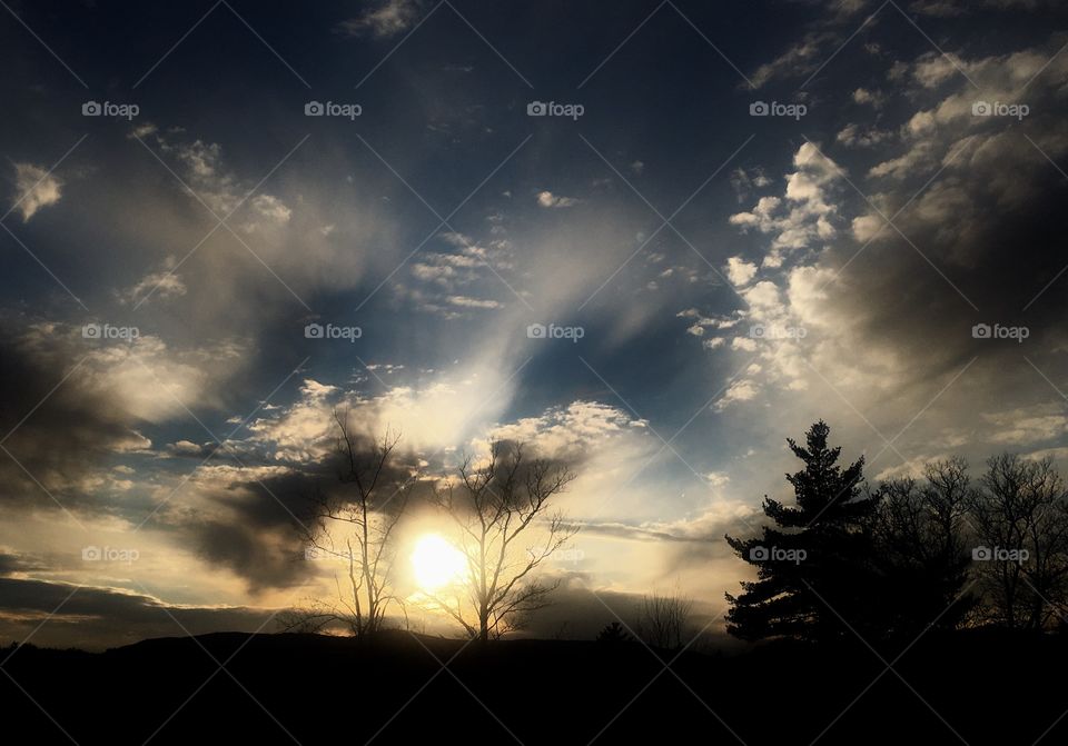 St. Patrick's Day 2017