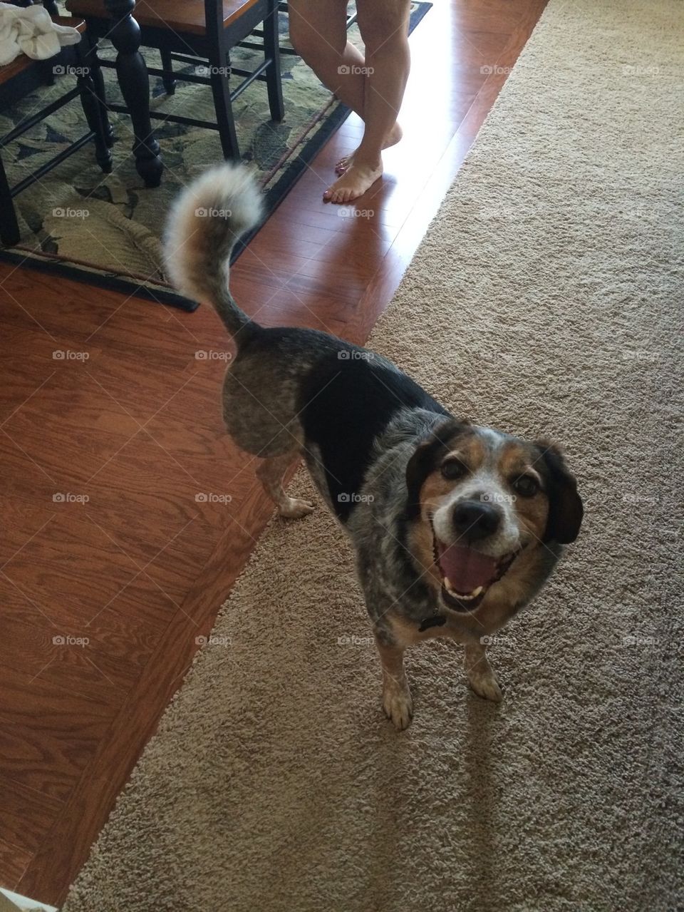 Give Thanks for successful surgery