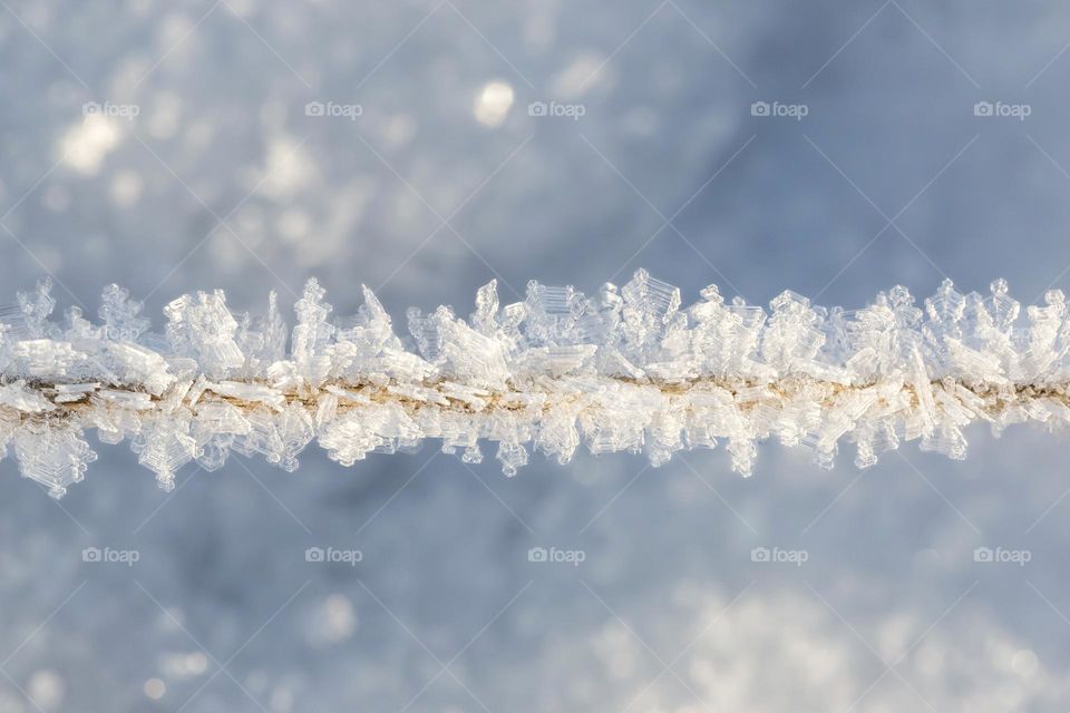 Macro closeup shot of sun shining on grass covered with frost in beautiful different shapes outdoors on a cold winter day 