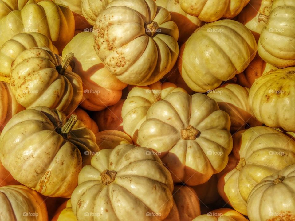 White Pumpkins