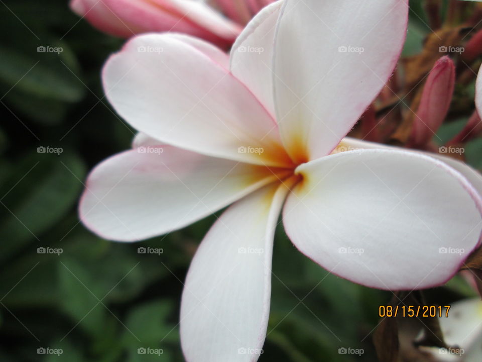 Nice Combination !!!!!