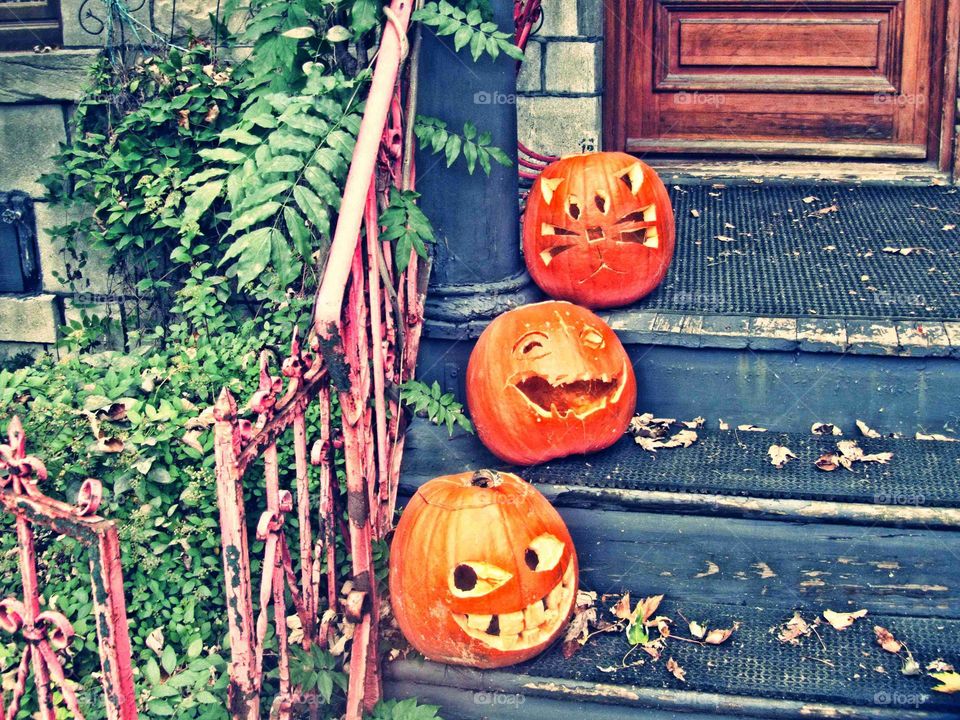 Sneaky pumpkins
