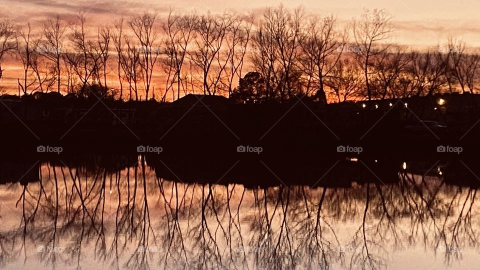 Of the many Pictures on this Location this One blows me away. The photo has consumed much of all the space available but does not look crowded. Intense evening clouds colors the Landscape trees are Gorgeous every trunk Branch Limb Twig are perfect.