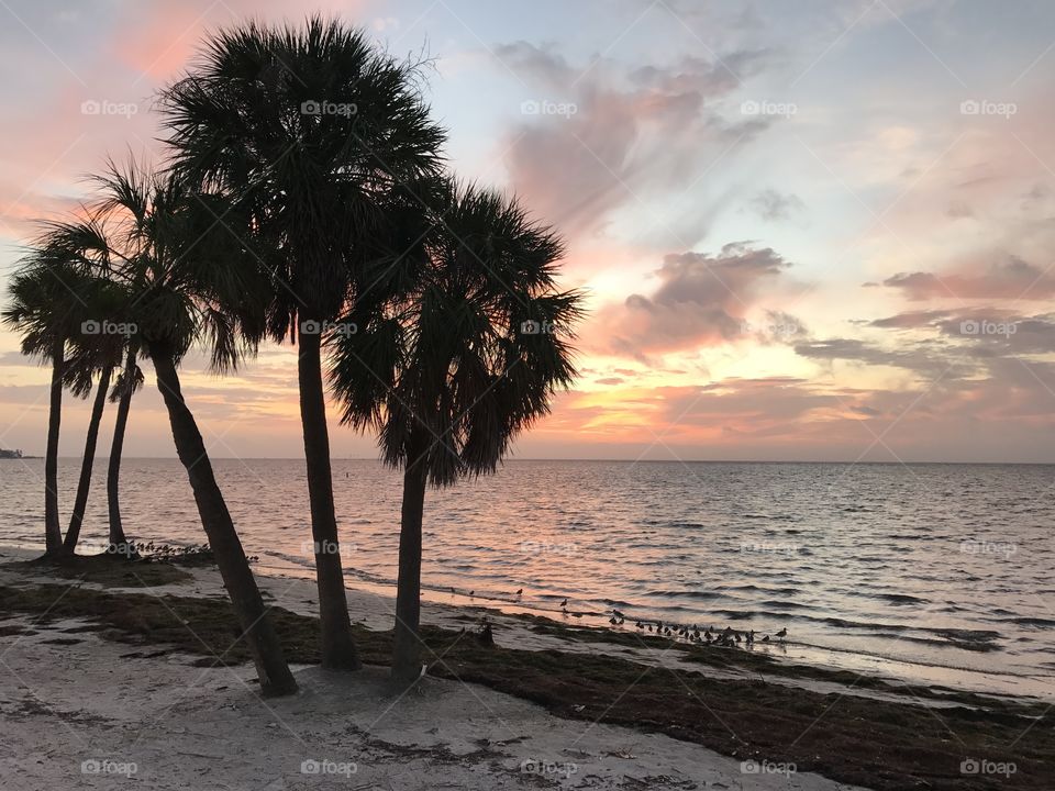 Three palms on the beach at sunrise 
