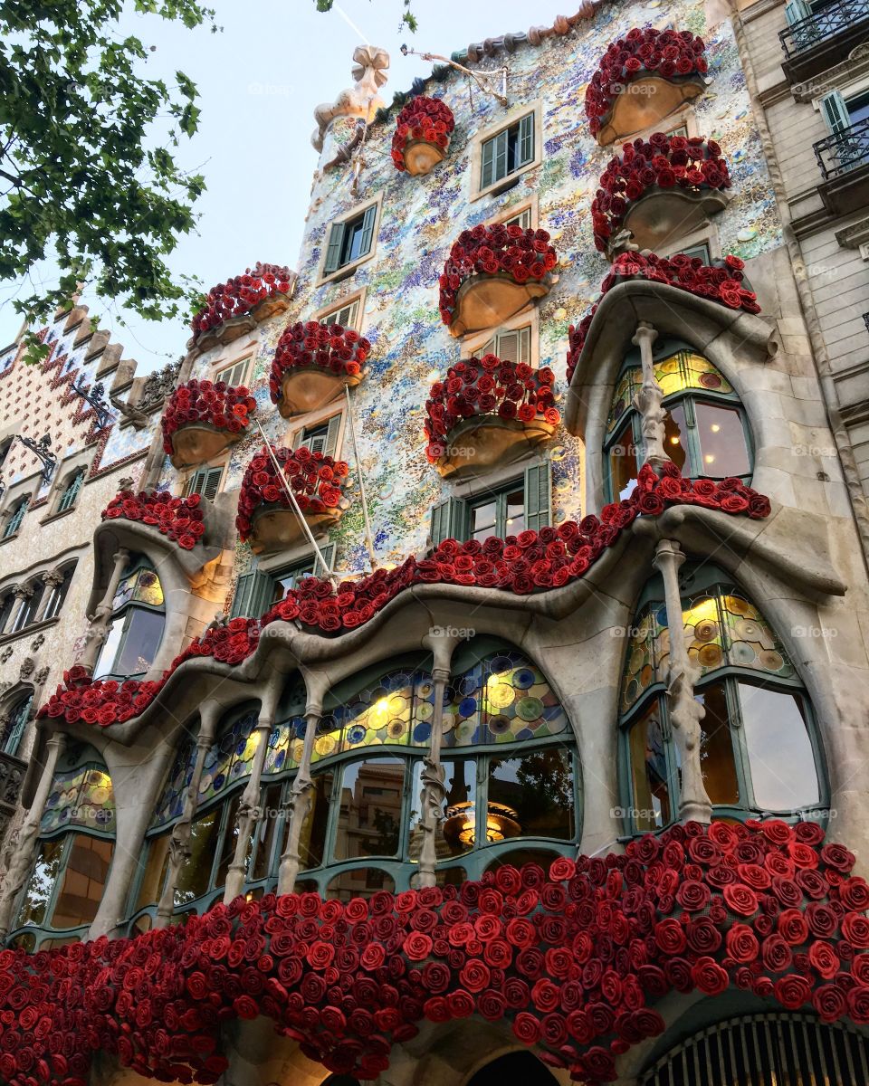House Batllo is one of the most beautiful building of Gaudi art. In sant George is decorated with thousands of roses. Impressive and cute. 