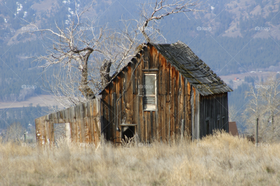 mountain tree house barn by kevinray
