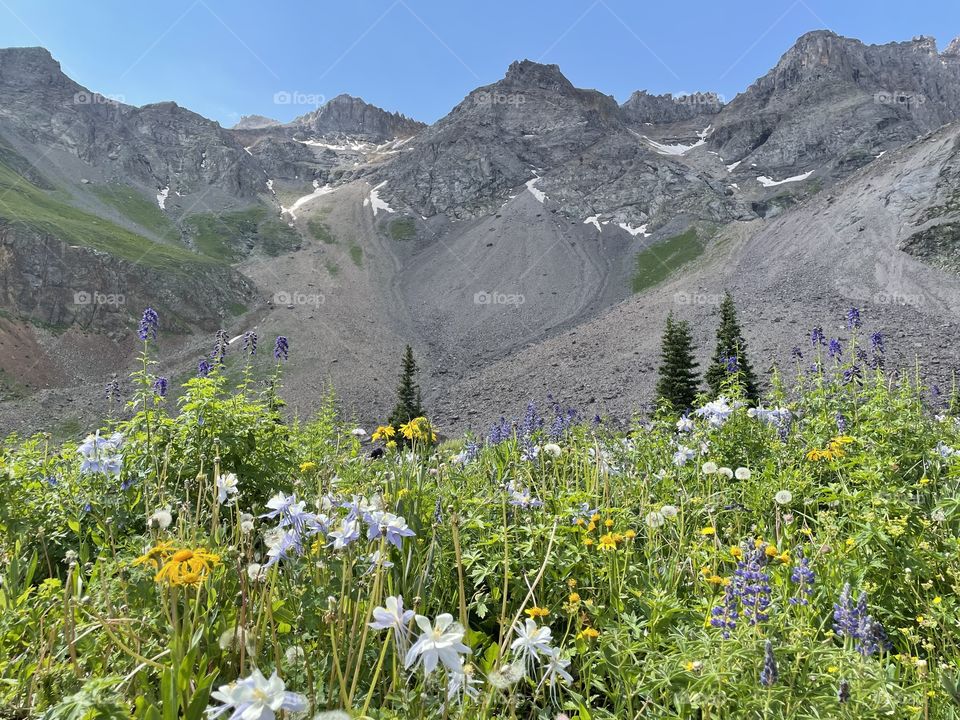 Mountains in the summer 