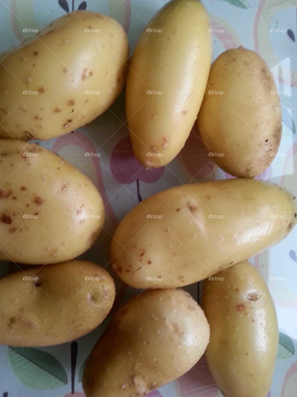 home grown spuds