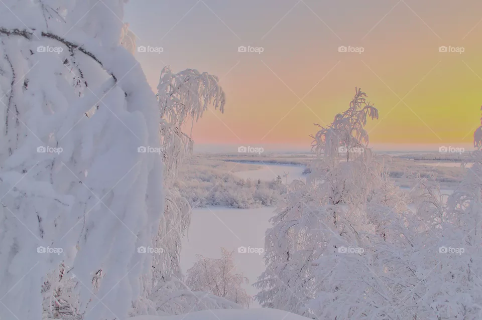 frosty morging