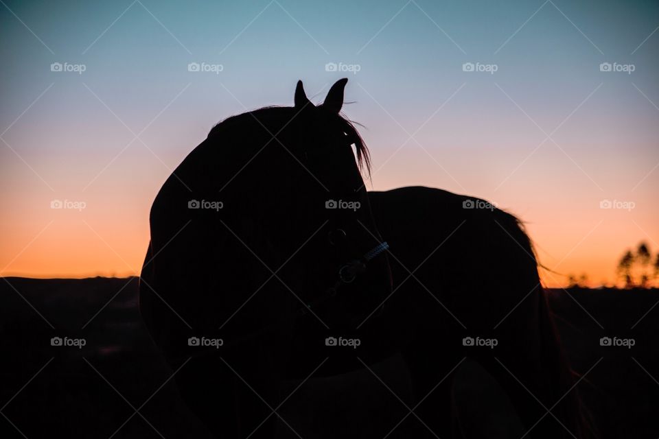 Chili charming sunset