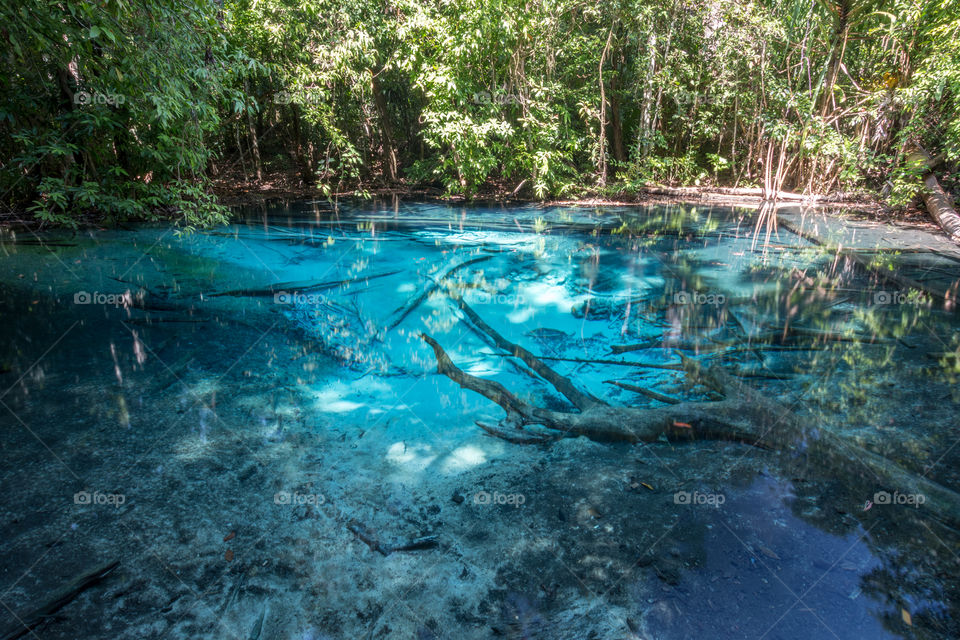 The emerald pool in Krabi Thailand 