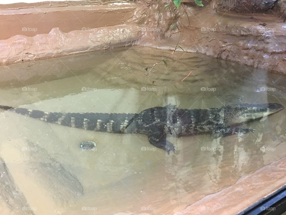 Water, Environment, Nature, Wet, No Person