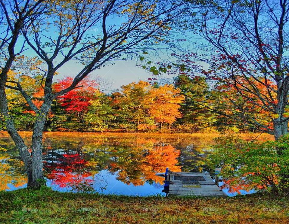 Beautiful Fall Landscape & Lake