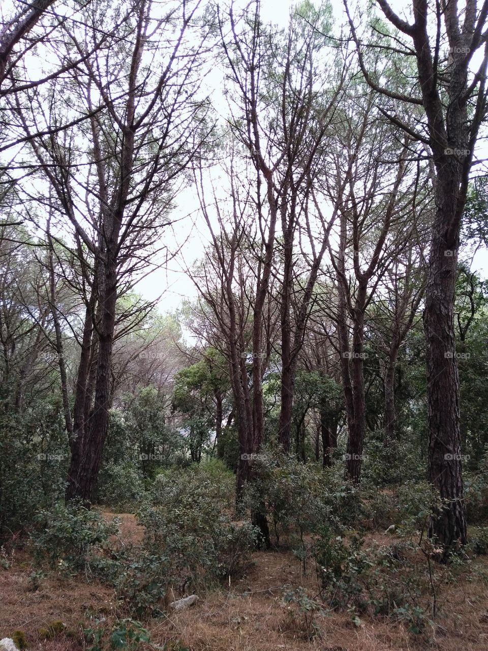 Editors' Choice: Photo of the Week