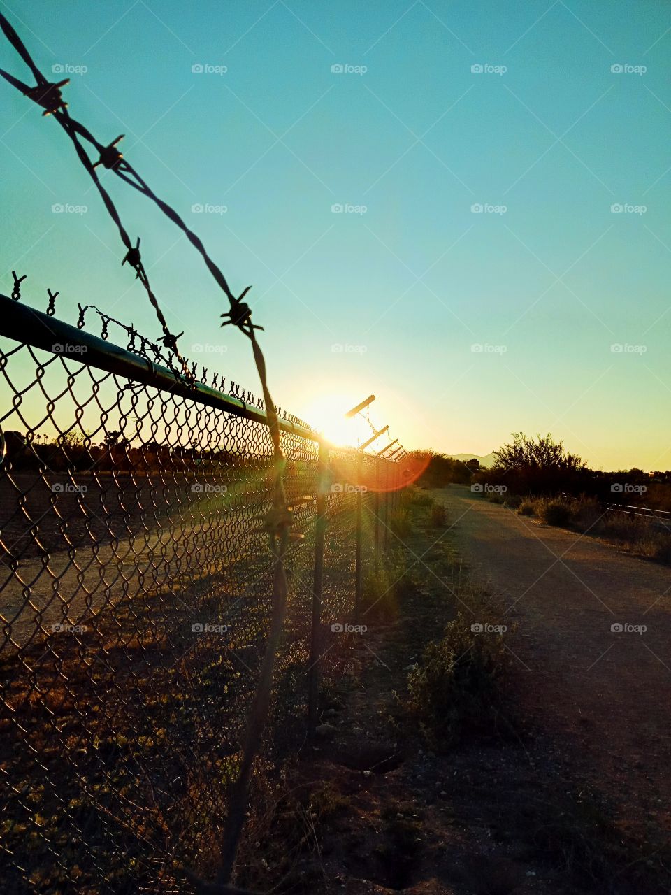 the fences can not stop the brightness of the sun