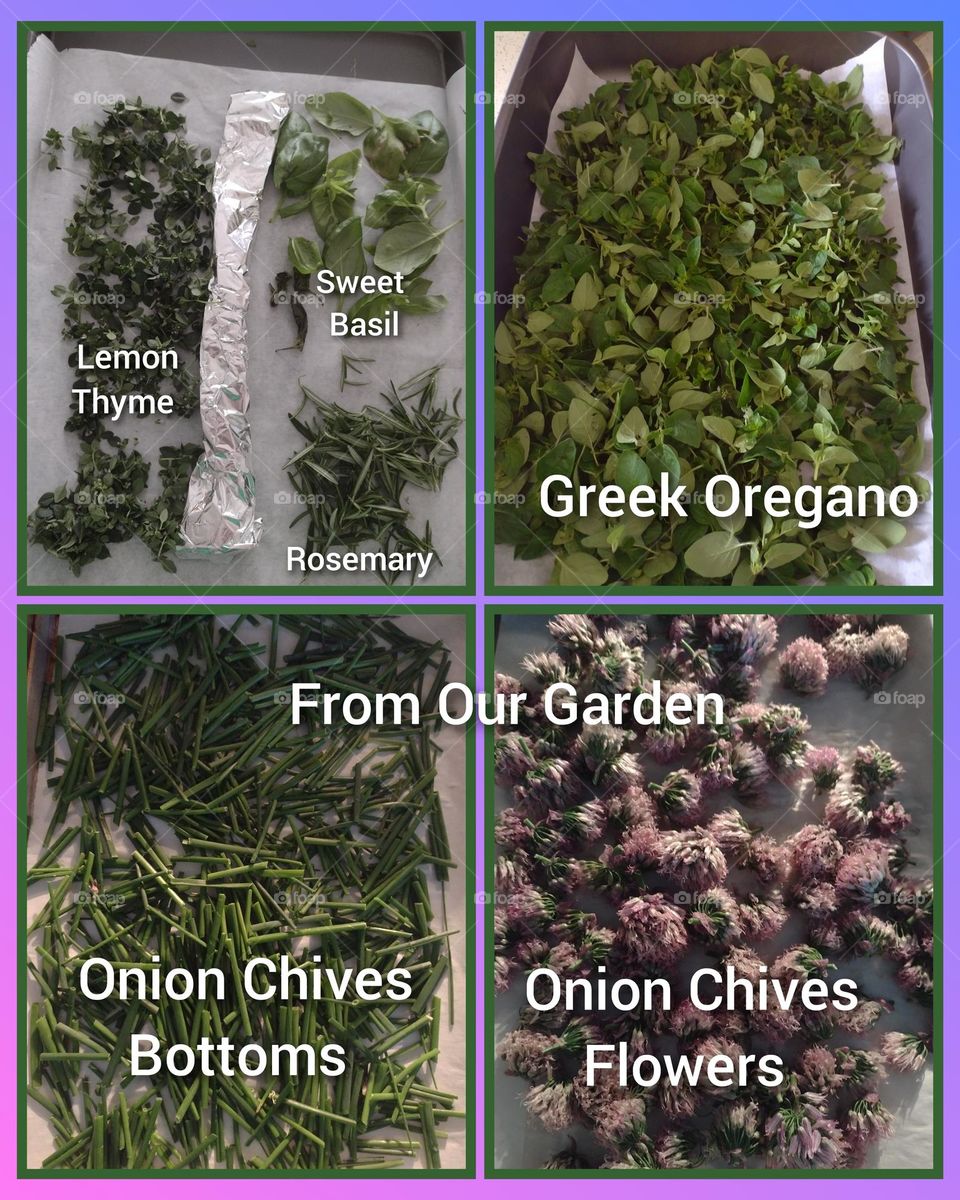 Variety of Herbs