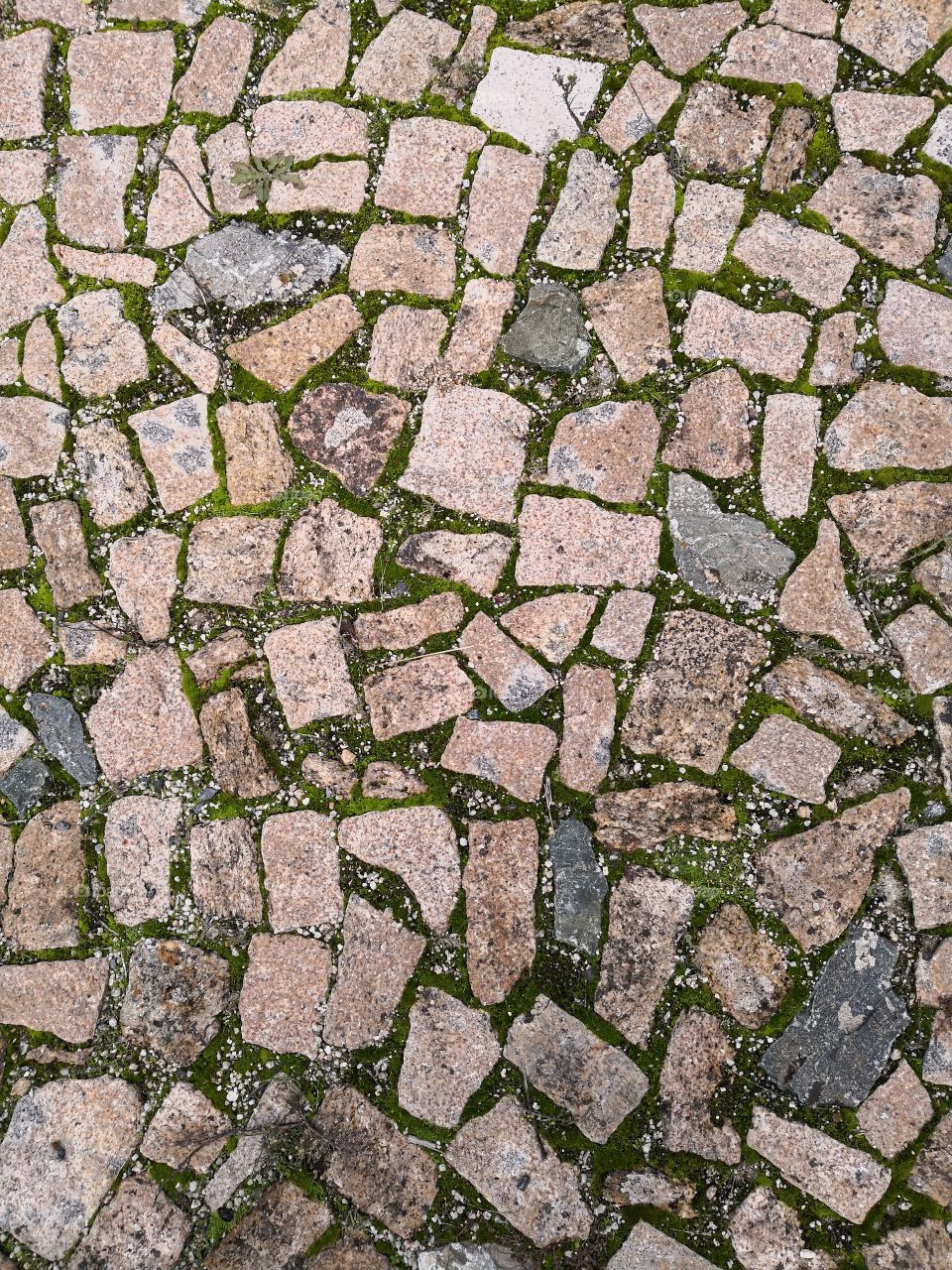 Floor, Urban, Castelo de Vide, Portugal