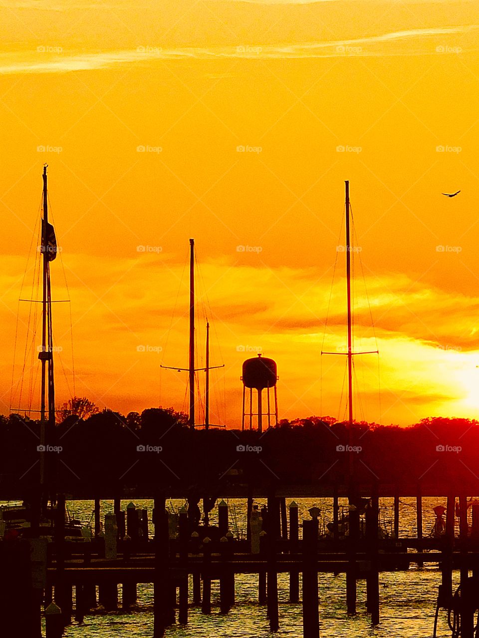 Sunset view from the marina 