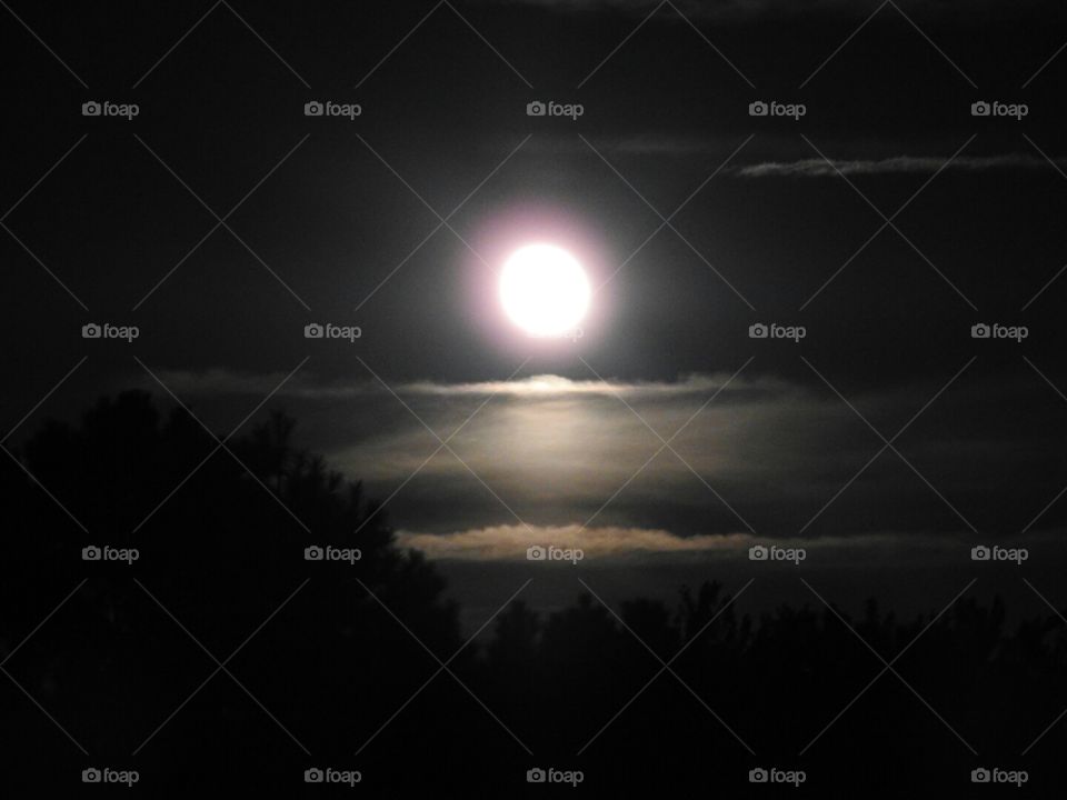 Wilmington moonshine