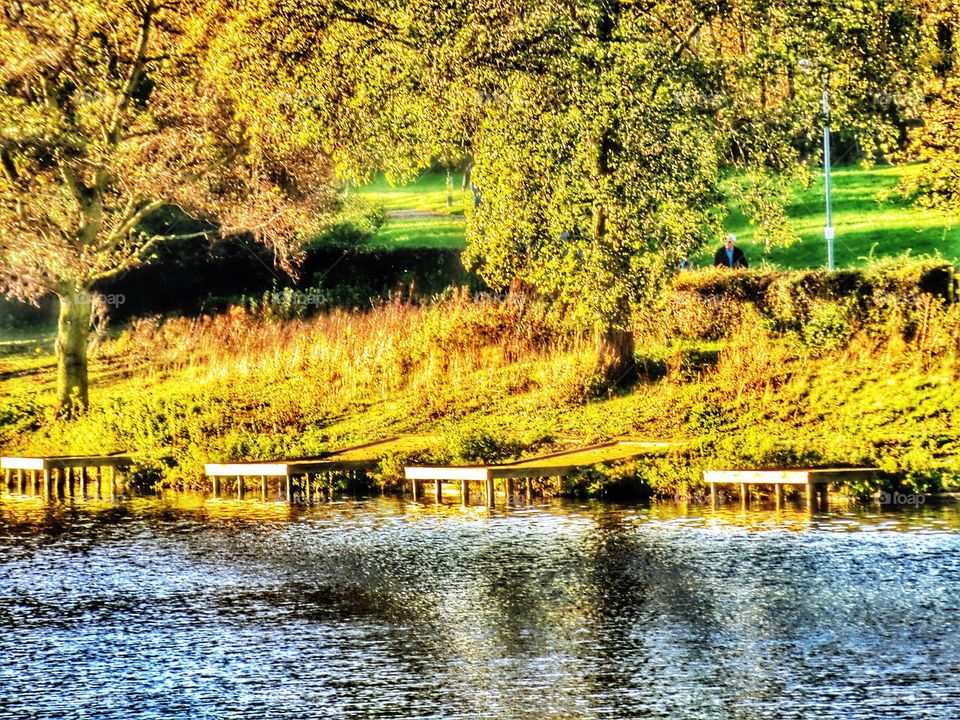 Lake . Nature reserve 