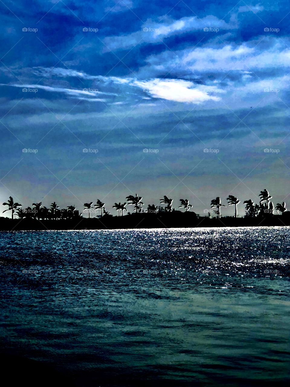 A beautiful evening on a lake with palm trees swaying in the wind. 