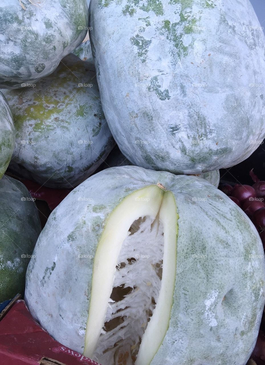 Winter melons