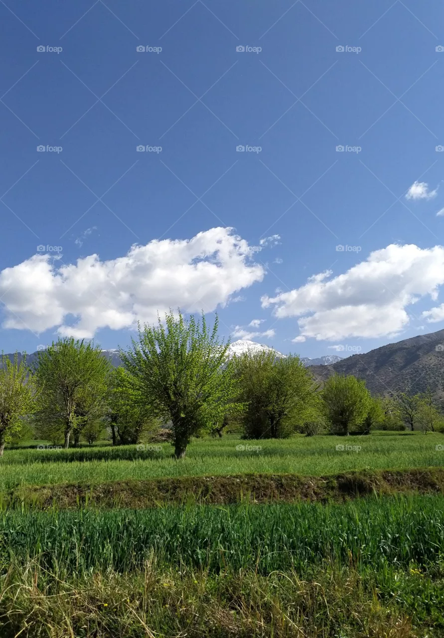 green land