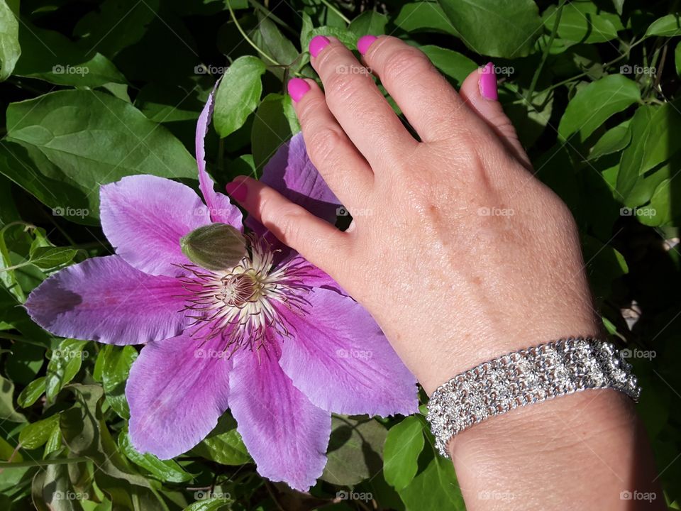 Great combination of jewellery and nature.
