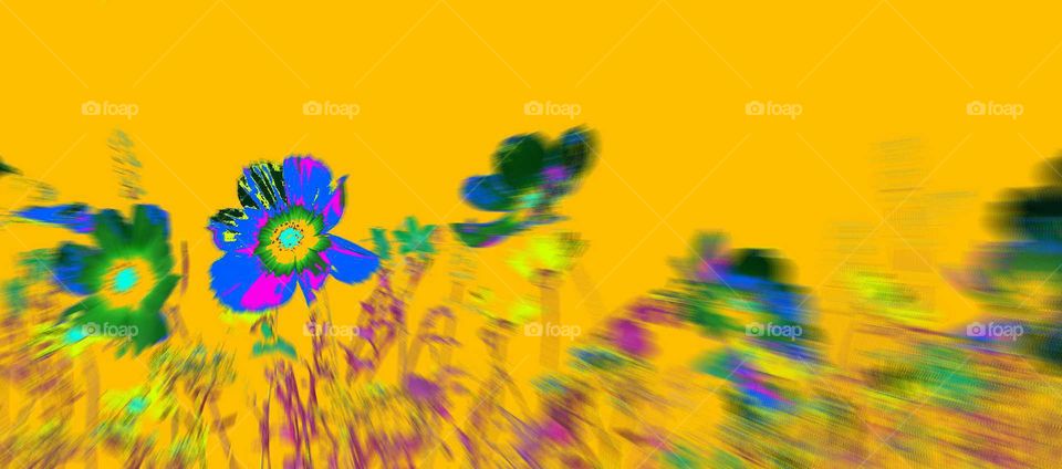 Summer, Nature, Leaf, Illustration, Desktop