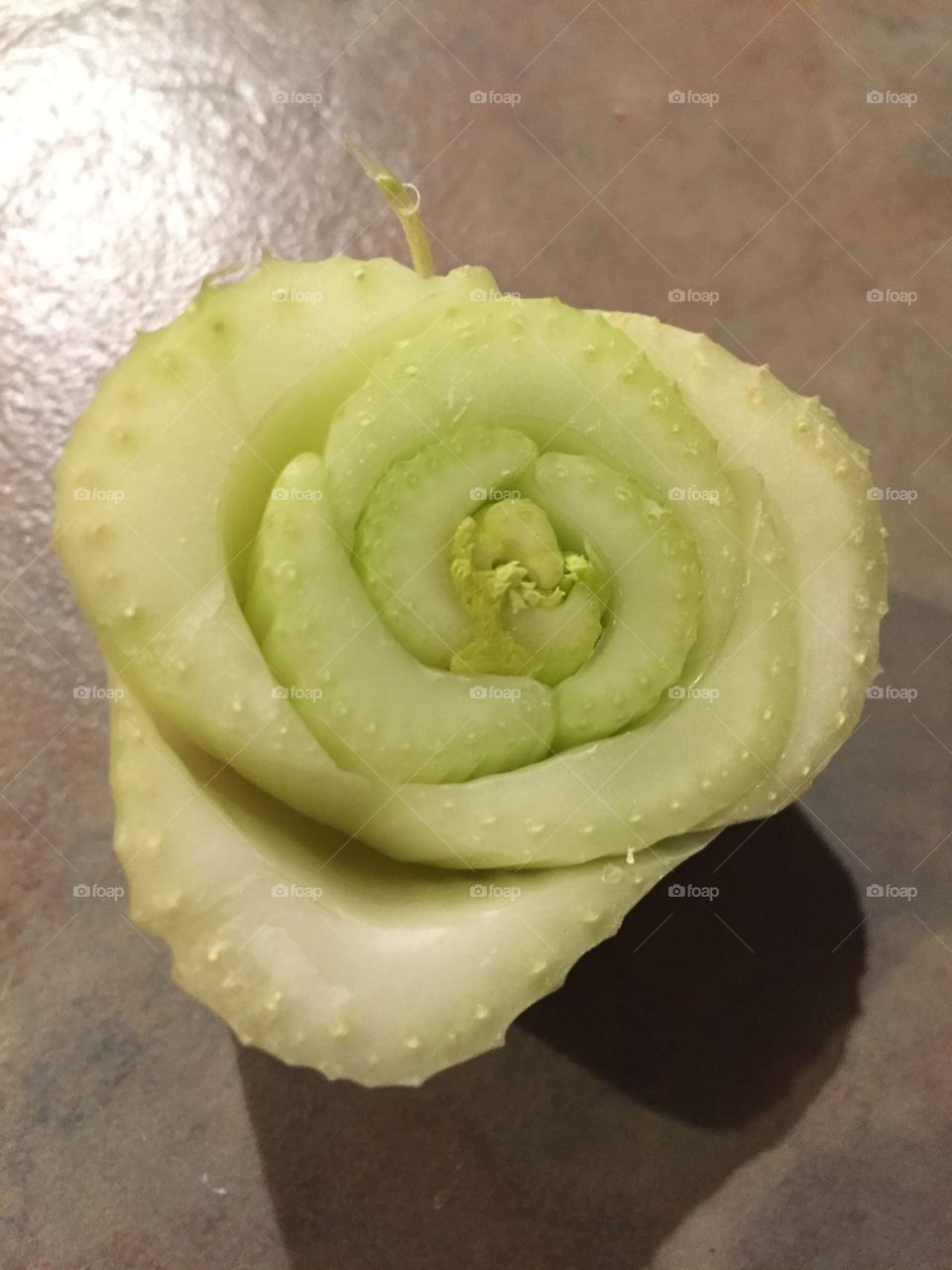 Celery rose