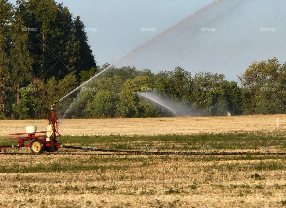 red water winch machine spraying golden fields in Oregon countryside on a Summer evening