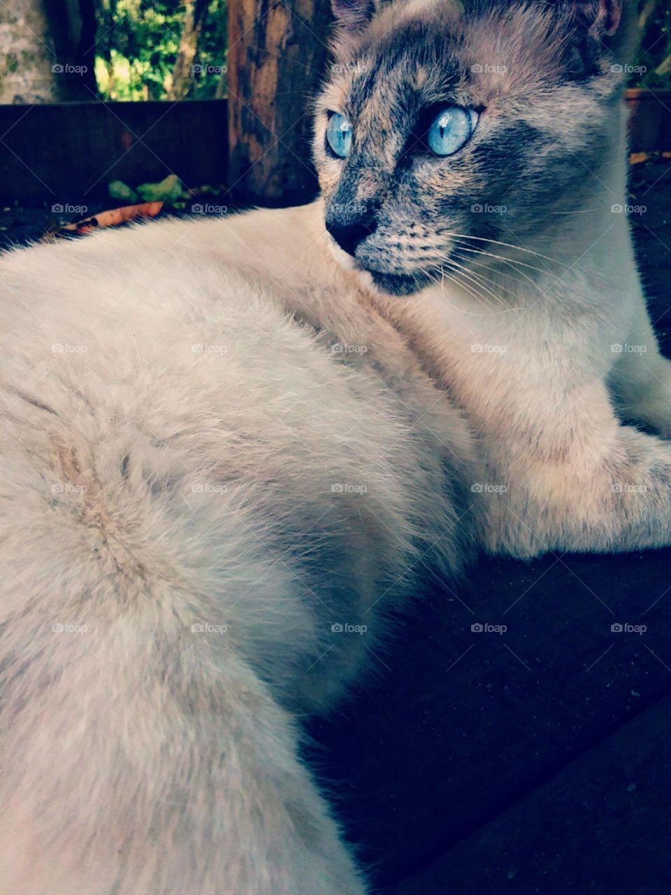 Emma on her favorite deck
