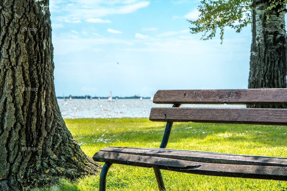 Wooden park bench Palic Serbia