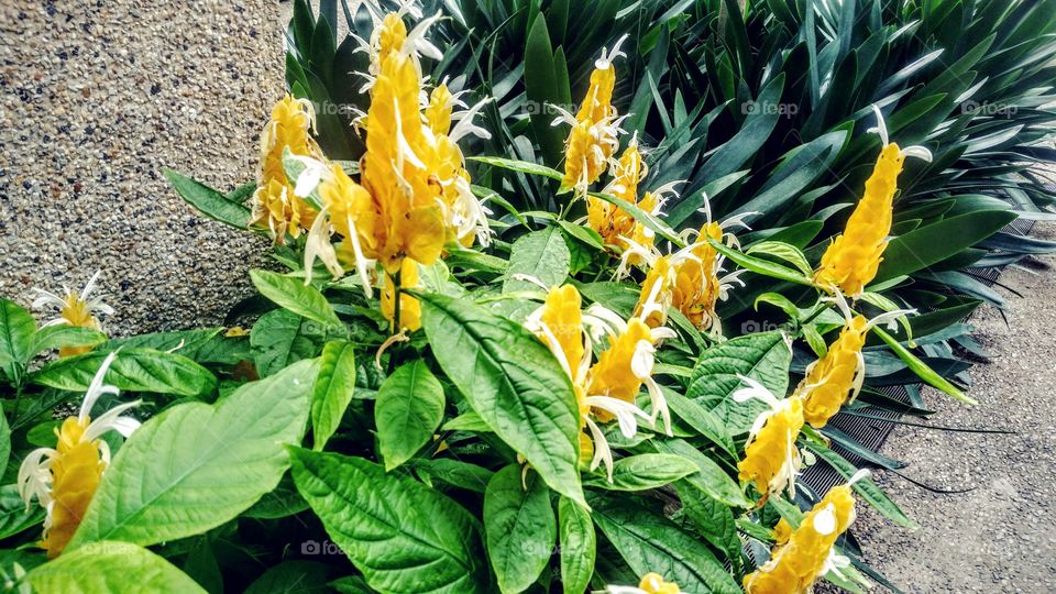 a series of unusual events