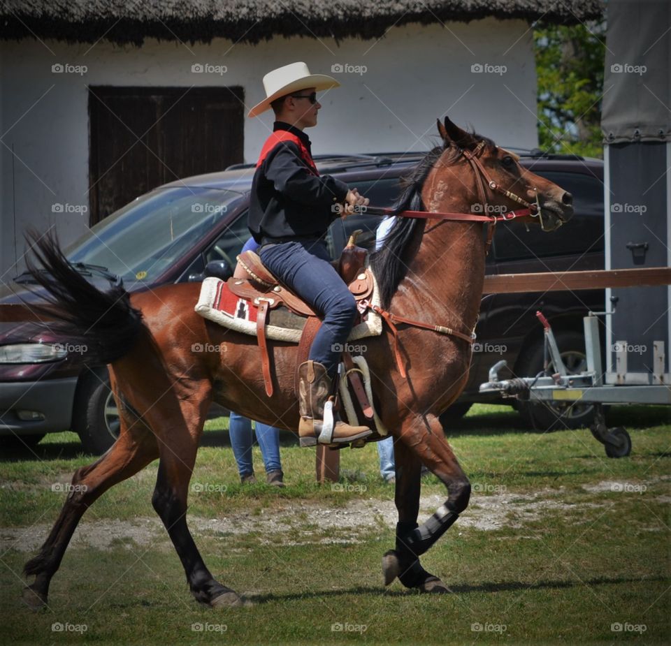 Horse, Race, Jockey, Cavalry, Track