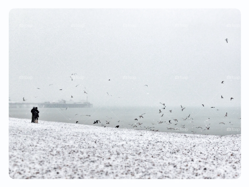snow winter beach ocean by indiemuppet