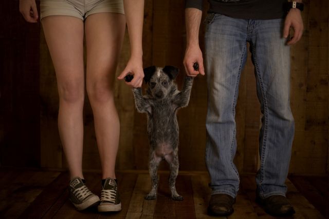 A couple holding their puppy’s paws 