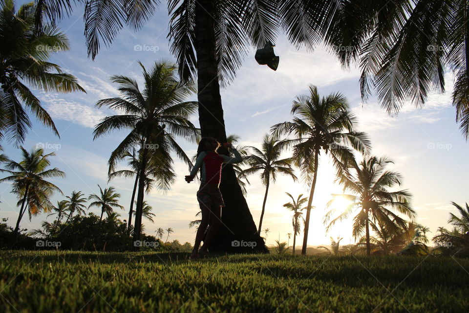 Sunset with palm trees on Brazilian beaches