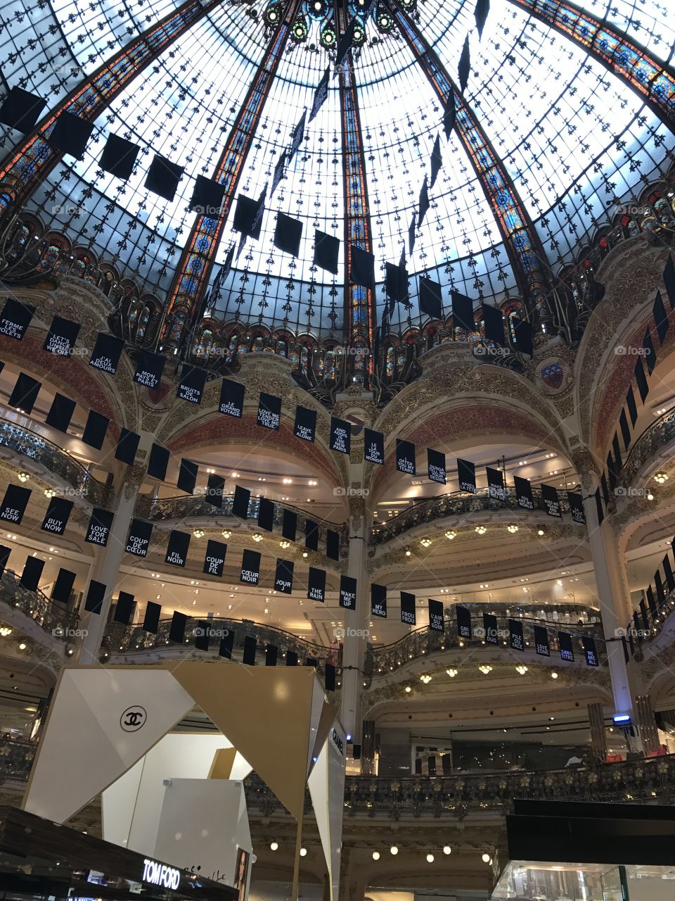 Ornate French Ceiling 