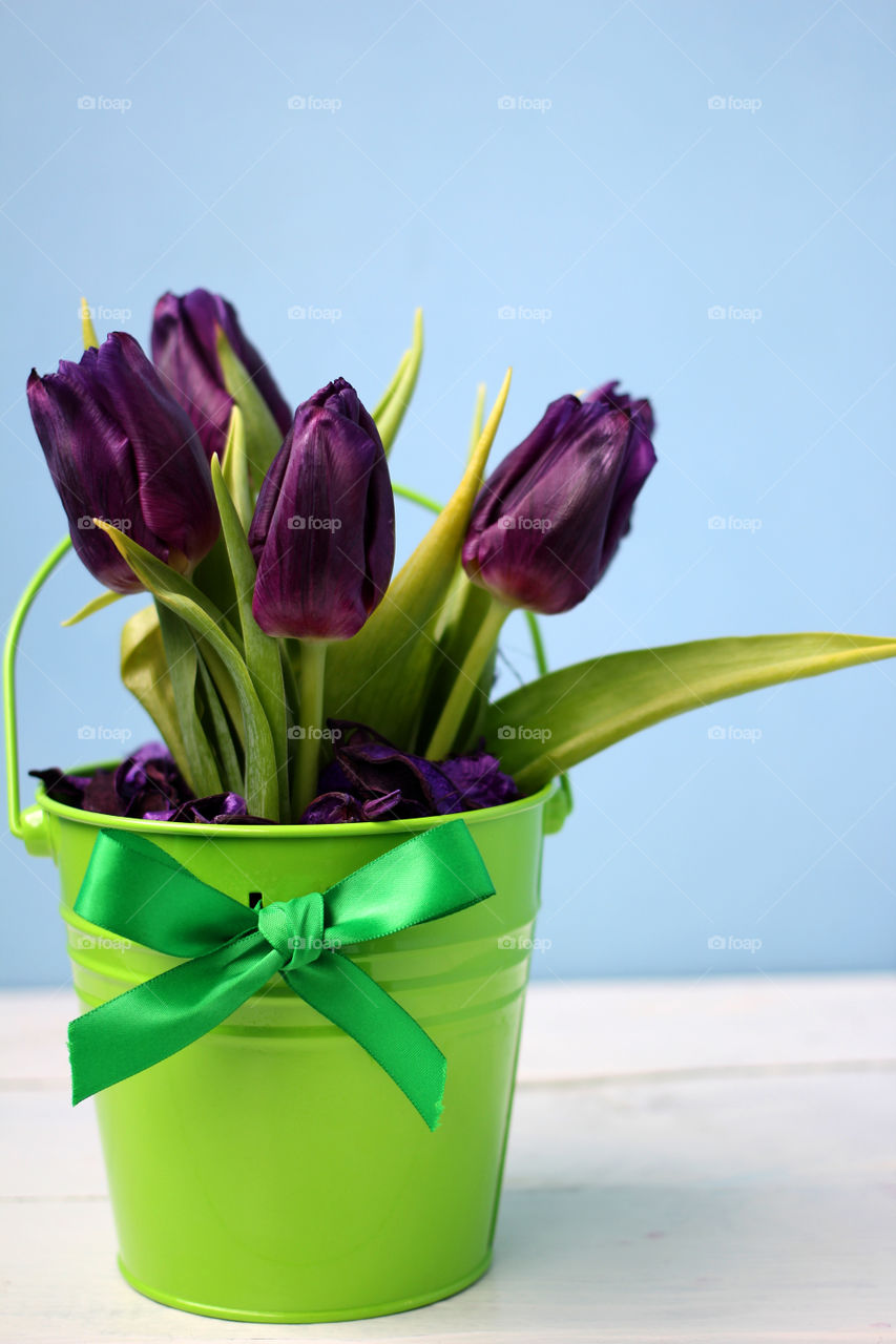 A bouquet of tulips: congratulations, March 8 (International Women's Day), February 14th (Valentine's Day), holiday