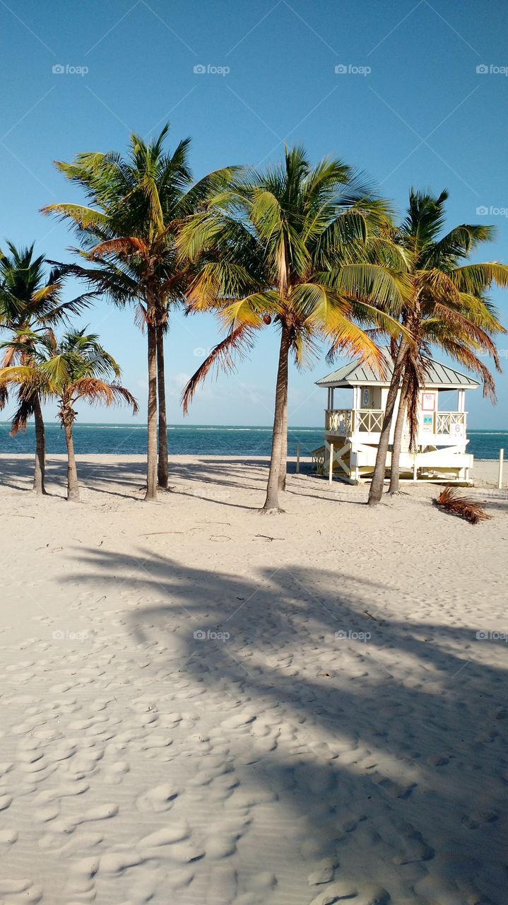 Florida beach