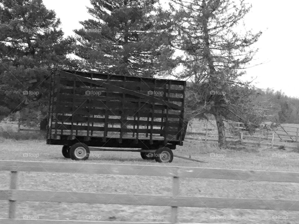 Hay wagon on the farm lot