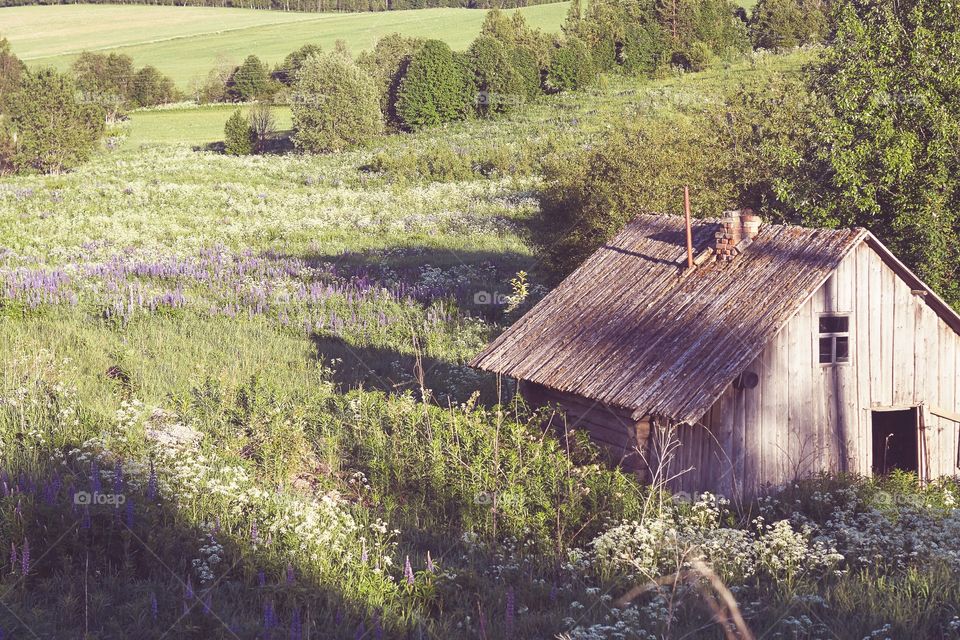 Russia, Vologda region