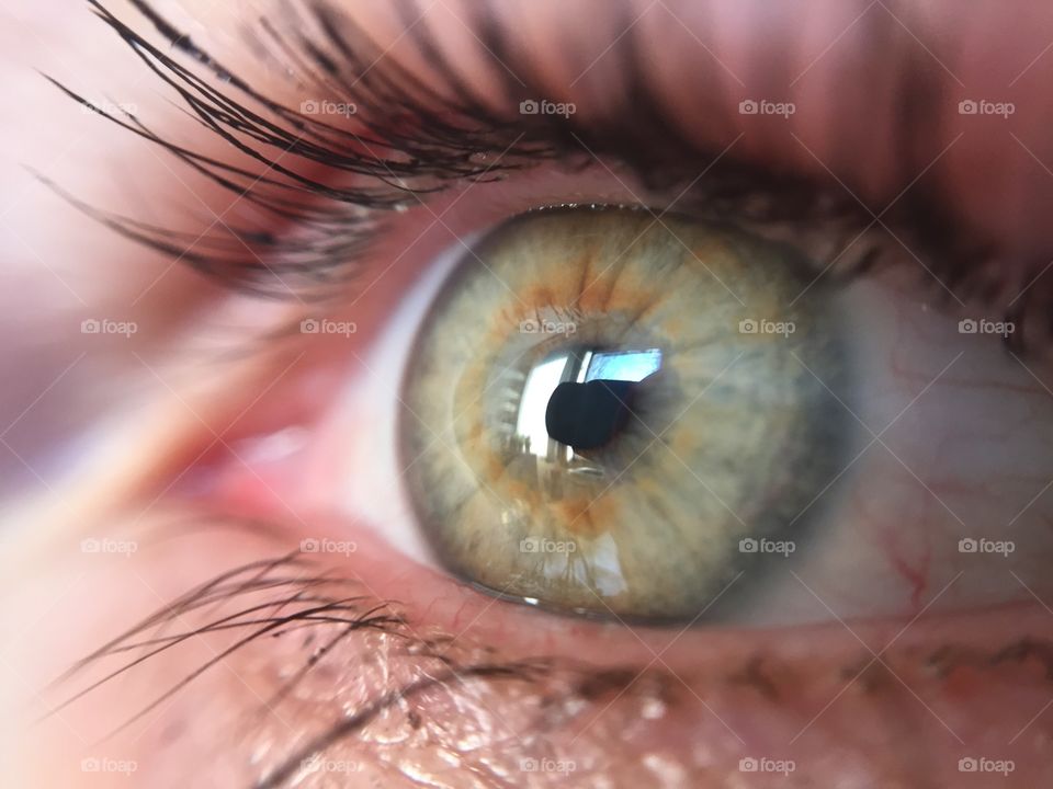 Detail of human eye