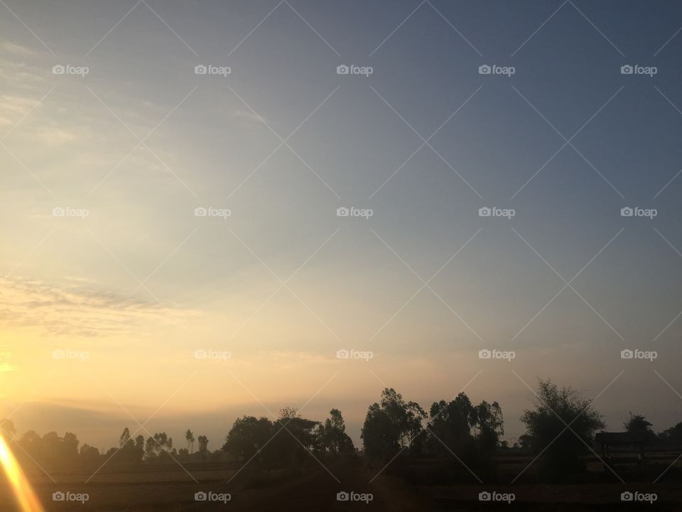 Beautiful Sunlight, Sunset and tree landscape for sky background.