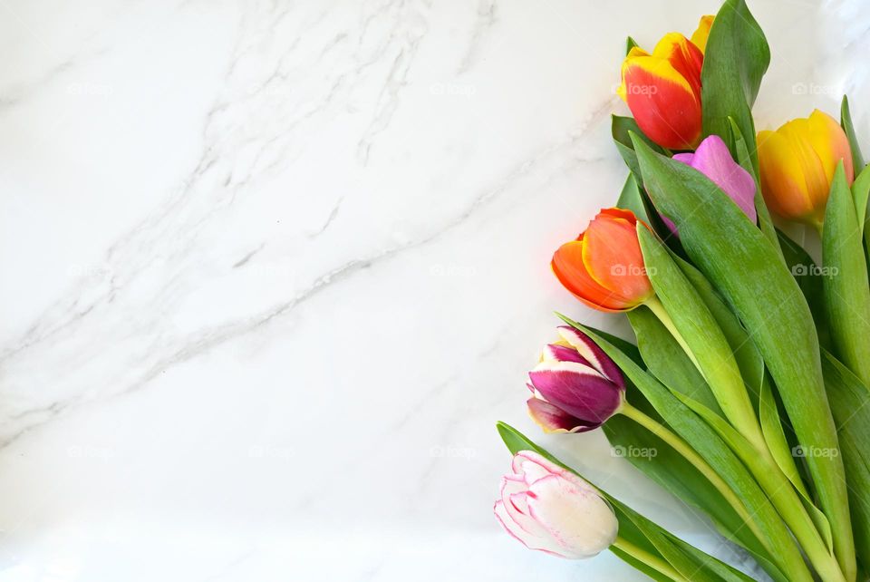 Minimal spring tulips flat lay 