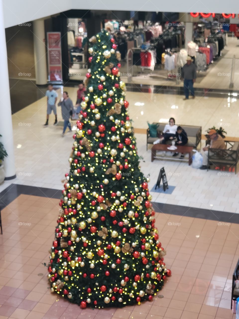 looking down at the beautiful Christmas tree in the mall