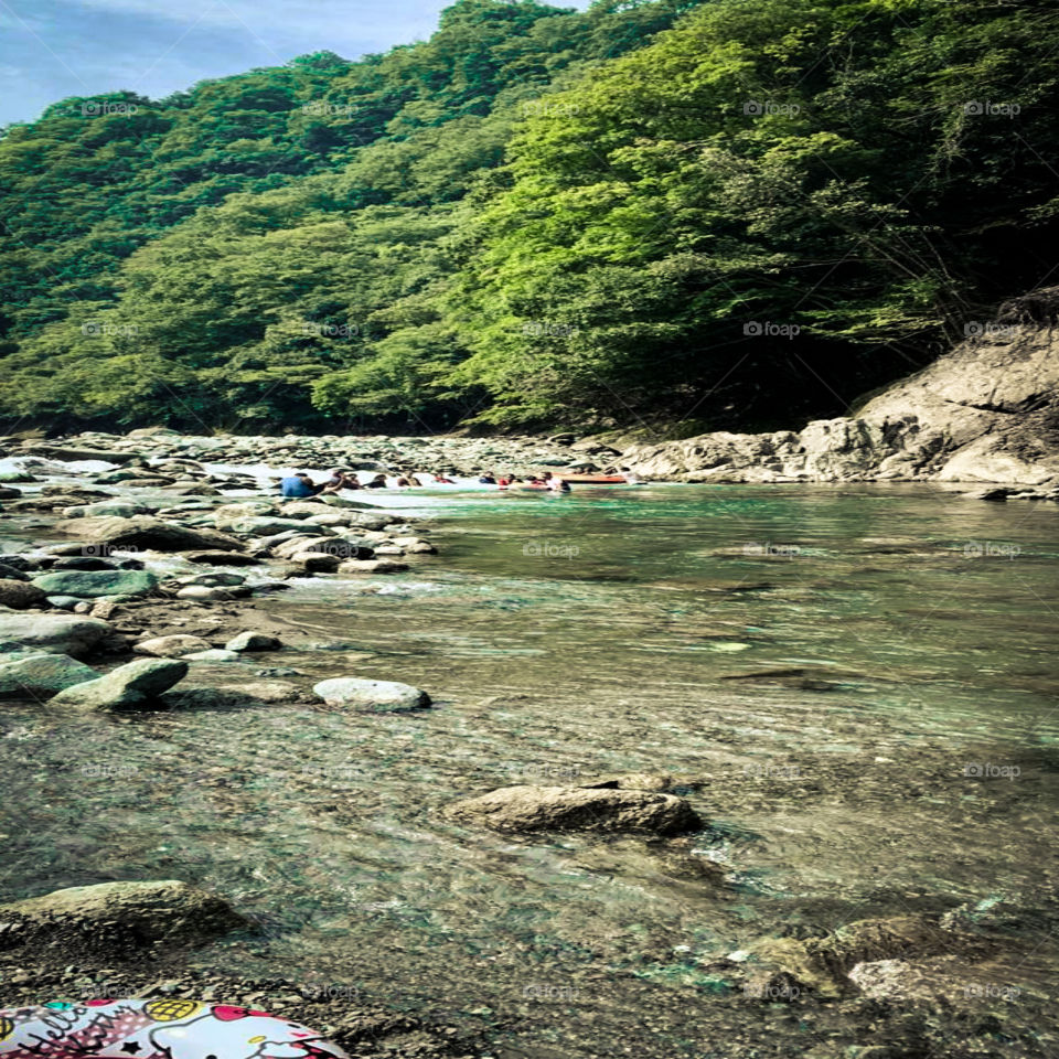 beautiful riverside natural view